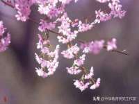 江阴鹏展食品商贸有限公司