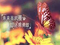 江阴鹏展食品商贸有限公司