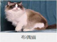 江阴鹏展食品商贸有限公司