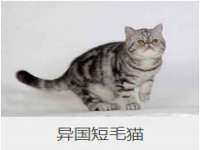 江阴鹏展食品商贸有限公司