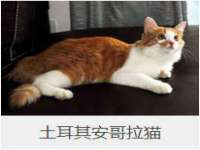 江阴鹏展食品商贸有限公司