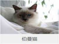 江阴鹏展食品商贸有限公司