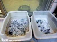 江阴鹏展食品商贸有限公司