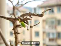 江阴鹏展食品商贸有限公司