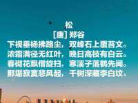 江阴鹏展食品商贸有限公司