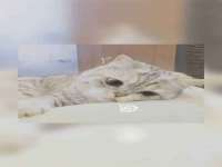 江阴鹏展食品商贸有限公司
