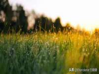 江阴鹏展食品商贸有限公司