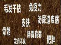 江阴鹏展食品商贸有限公司