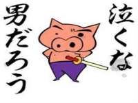江阴鹏展食品商贸有限公司