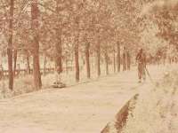 江阴鹏展食品商贸有限公司