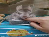 江阴鹏展食品商贸有限公司