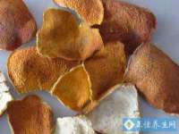 江阴鹏展食品商贸有限公司