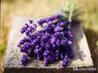 江阴鹏展食品商贸有限公司
