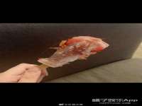 江阴鹏展食品商贸有限公司